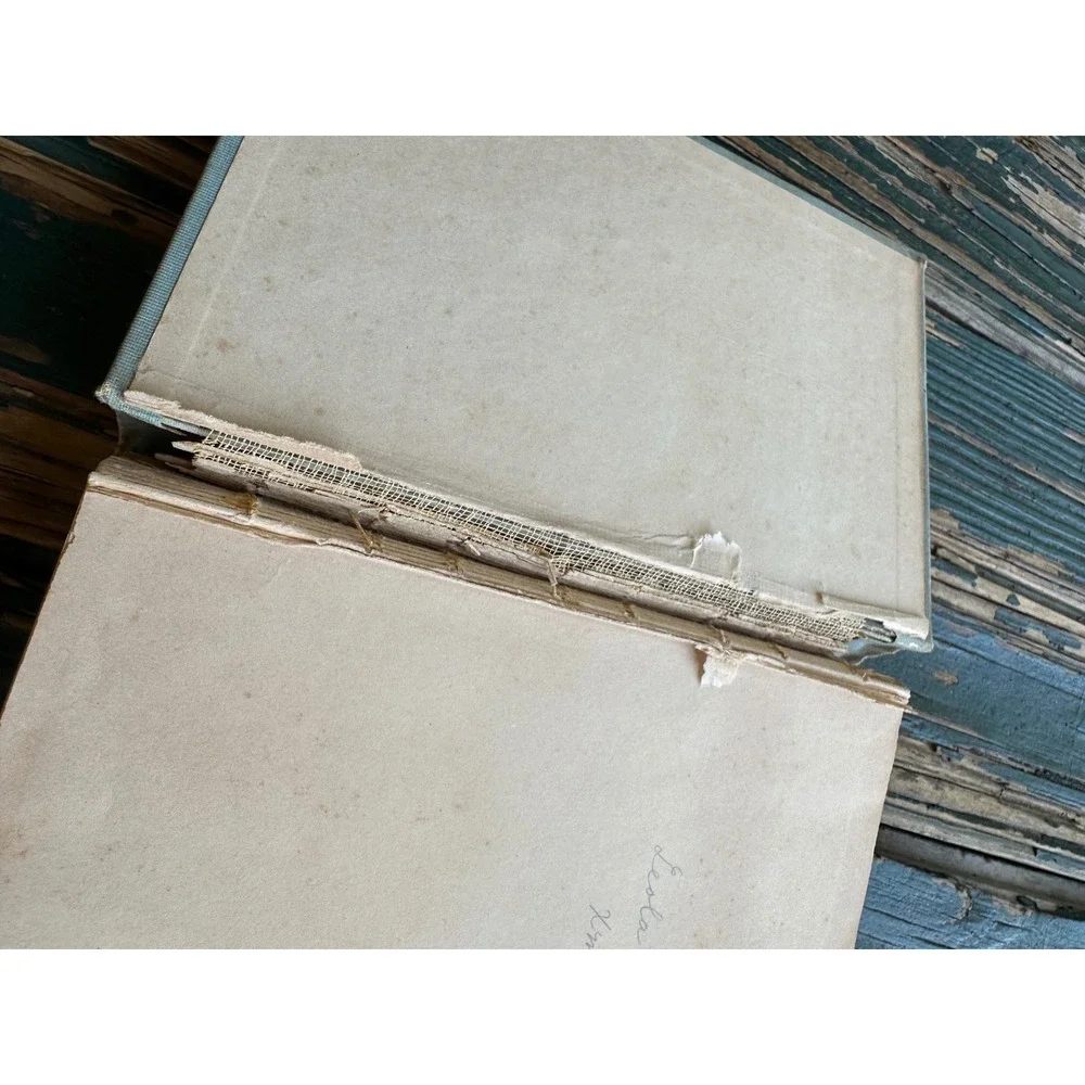 Emmy Lou Her Book &‎ Heart George Madden Martin 1902 Grosset & Dunlap Antique bk